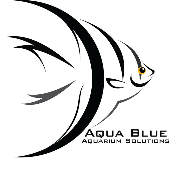 Aqua Blue Aquarium Solutions